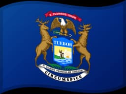 Free Michigan VIN Check
