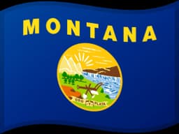 Free Montana VIN Check