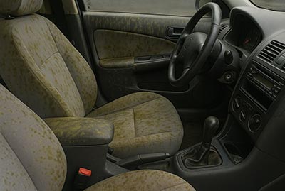 Water stains, mold, or rust in odd spots
